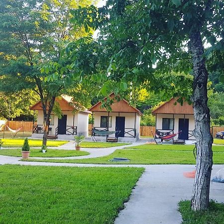 Flora Racha Villa Ambrolauri Ngoại thất bức ảnh
